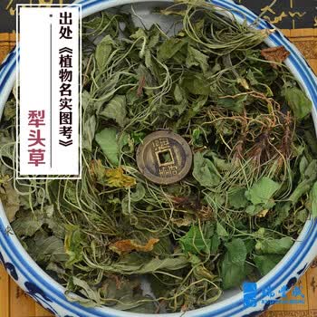 500克中药材犁头草地丁草紫花地丁犁头尖烙铁草不是铧头切断