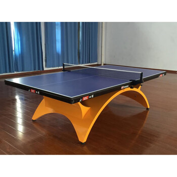 大彩虹小彩虹标准室内乒乓球台家用俱乐部球馆比赛乒乓球桌案子黑色腿