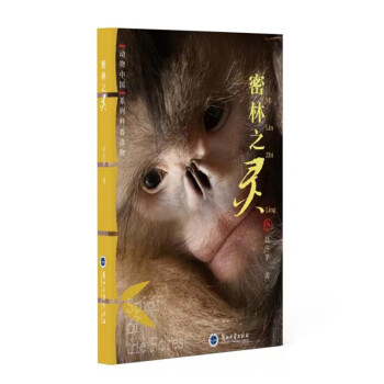 赵序茅—兰州大学出版社—《动物中国之密林之灵》