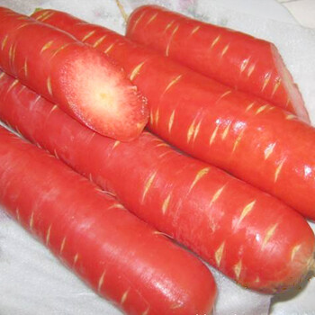萝卜心里美水果萝卜红萝卜榨菜萝卜苗蔬菜夏季秋季 玫瑰红胡萝卜200粒