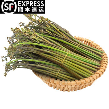 新鲜山蕨菜现摘龙爪菜猫爪龙头菜拳头菜蕨苔3斤