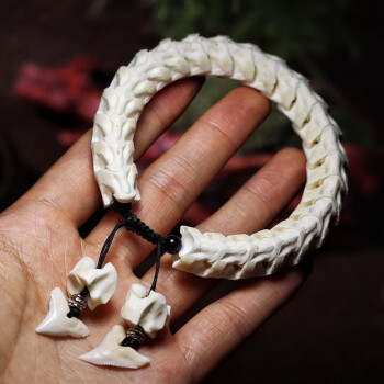缘诗芸鱼骨手串泰国真蛇骨手链文玩蛇骨手串鲨鱼牙转运男l14mm鲨鱼牙