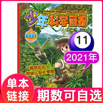 【多期单本自选】少年科学画报杂志2022年1月年青少年小学初