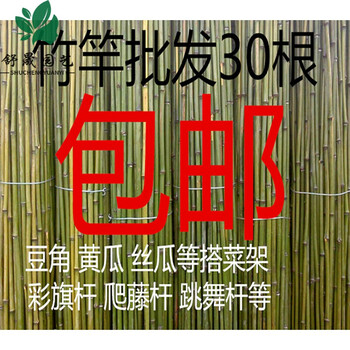小竹子细竹竿菜园搭架户外篱笆豆角竹棍2米旗竹杆跳舞竹竿粗大竹15