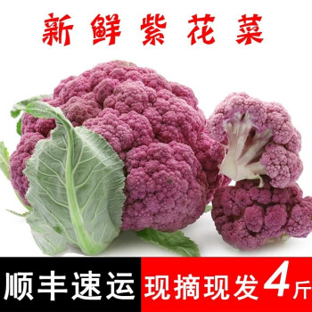 顺丰 特心鲜新鲜紫色花菜松花菜紫花椰菜菜花时令农家蔬菜00g 图片价格品牌报价 京东