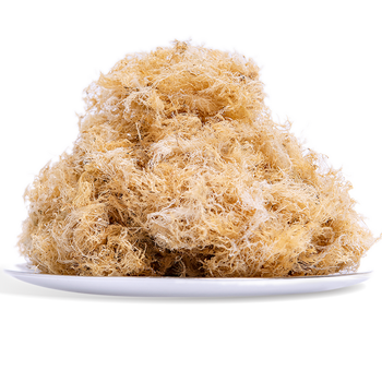 石花菜海石花草石花菜四果汤石花膏材料岩衣胶冻洋菜凉粉草燕