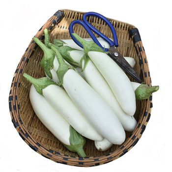 湖北孝昌特产白茄子新鲜茄菜园现摘时令蔬菜农家自种茄子三斤 三斤装 图片价格品牌报价 京东