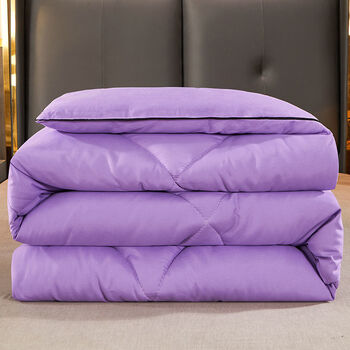 被酒店春秋被子白鹅绒冬被加厚保暖双人单人学生夏被芯新品紫180x220