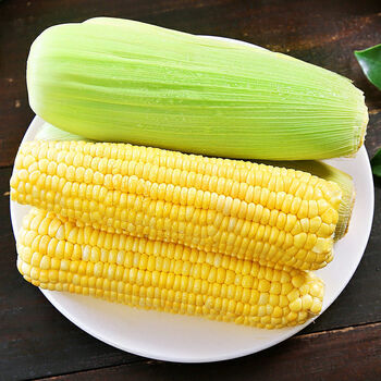 云南正宗黄金水果玉米新鲜整箱包谷生吃甜脆牛奶爆浆 精选装 带箱9.