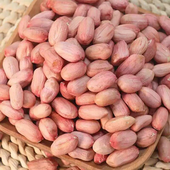 2020年白沙花生米红皮花生米带壳花生香酥油炸五香花生下酒菜零食生