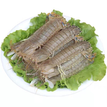 流连湾海鲜皮皮虾鲜活熟冻超大虾爬虾姑鲜活虾婆濑尿虾超肥皮皮虾半斤
