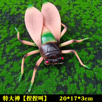 帝昂仿真拟态昆虫特大发声软胶动物蜘蛛瓢虫蜜蜂蚂蚱蜘蛛甲虫儿童玩具