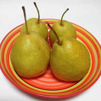 甘肃特产正宗兰州热冬果梨水果新鲜脆甜多汁冻梨香水梨非东北梨 中果5