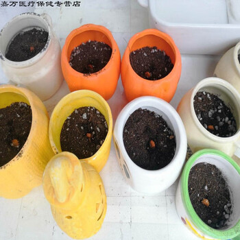 现摘白玉苦瓜水果苦瓜生吃农家自种现摘现实发脆嫩苹果苦瓜种子30粒