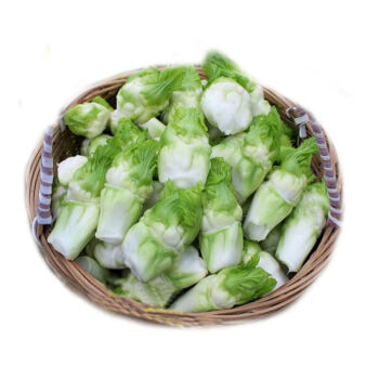 四川兒菜新鮮娃娃菜嫩兒抱兒子母菜耳菜青菜農家鹹菜原料蔬菜批發兒菜