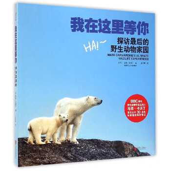 我在这里等你(探访最后的野生动物家园)(精)