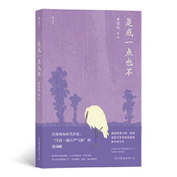 9787505749320 正版  是或一点也不 黄国峻后浪