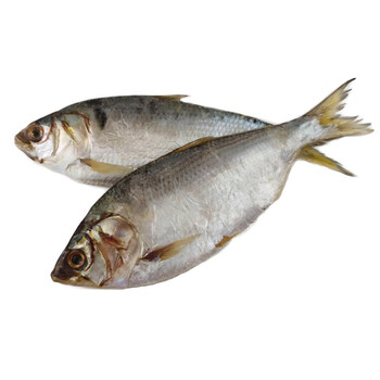 白鳞鱼腌制咸鱼干白鳓鱼广东咸霉鳓鱼臭香力海鲜干货2斤