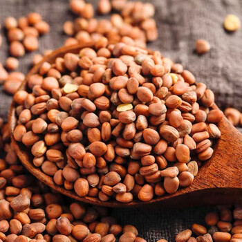 新货莱菔子生来服子炒白萝卜籽粉无硫精品生莱菔子250克