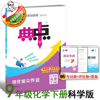2025春典中点九年级下册化学人教/沪教/科学版同步教材练习 九下化学科学版