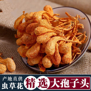 大孢子头虫草花天然干货蛹虫草新会金蛹虫草煲汤材料100500克大孢子头