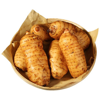 恬女神新鲜天麻 云南昭通小草坝 生天麻 农家现挖小金麻 500g(约8个)