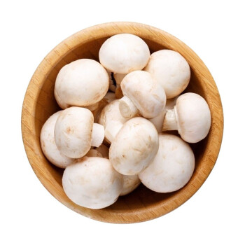 新鲜白蘑菇双孢蘑菇500g食用白色小蘑菇火锅食材口蘑白色1500g