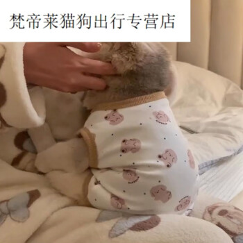 小猫咪衣服做法图图片