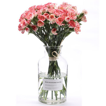 云南昆明康乃馨鲜花鲜切花瓶插花办公室家用婚庆妇女节礼物小红兔多康