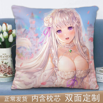 抱枕日系二次元周边正方形枕头套男生款睡觉双面定制生日礼物爱蜜莉雅