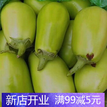 河南特产青茄子新鲜绿茄子新鲜蔬菜农家自种可生吃园茄子鲜嫩无籽净重三斤 图片价格品牌报价 京东