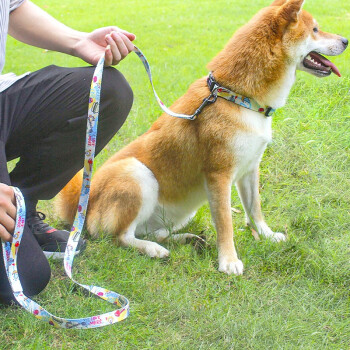 纖寵寵物牽引繩狗狗項圈揹帶泰迪柯基卡通狗繩柴犬幼犬狗鏈子中小型犬