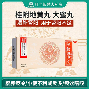 同仁堂桂附地黄丸大蜜丸9gx10丸温补肾阳用于肾阳不足腰膝酸冷小便不