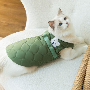 神经猫宠物猫咪两脚棉背心两脚可牵引衣服保暖加绒加厚布偶猫英短蓝猫