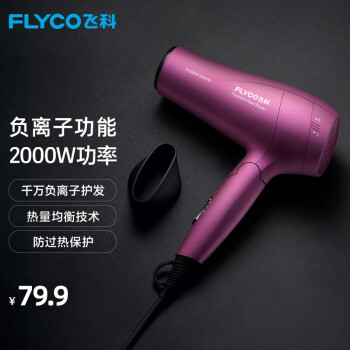 ɿ(FLYCO)紵FH6618ʴͲ 2000W