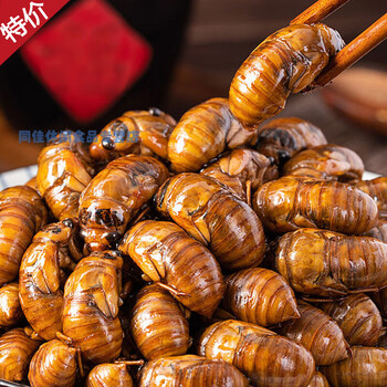 2022新品大 个肉知了猴金蝉节流龟唐生肉爬叉猴新鲜冷冻100只 100只