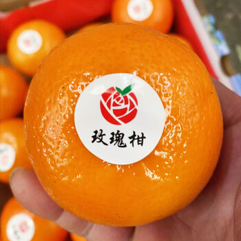 从化玫瑰香柑橘甜沃柑时令新鲜水果橘子柑10斤柑橘当季沃柑