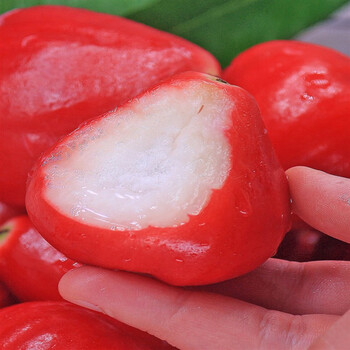 文枝海南莲雾果新鲜水果5斤当季特产红宝石连雾果整箱3斤