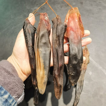 东北正宗梅花鹿尾干鹿尾巴精10克左右药材泡酒煲汤药材马鹿尾 24克