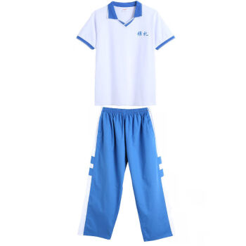 谏子 雅礼校服中学长沙怀化株洲岳阳雅实洋湖夏季套装 可单买 雅礼