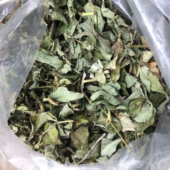 自然晾晒头茬花生叶新货花生叶花生叶子 花生叶粉纯农家天然 250克