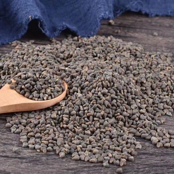 野生沙苑子中药沙苑子泡水泡茶喝野生 100克 g