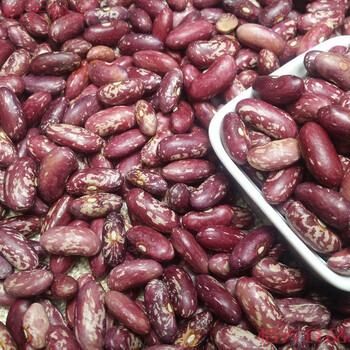 云舵东北花芸豆紫花饭豆1斤5斤饭豆新红花芸豆农紫花芸豆饭豆5斤装紫5