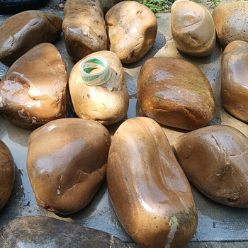 lzjv大鹅卵石黄色大石头河北黄蜡石水冲石河石天然庭院造景装饰 黄色