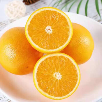 四川眉山寿柑玫瑰香桔新鲜橘桔子香橙长寿水果现摘现发5斤彩箱70m