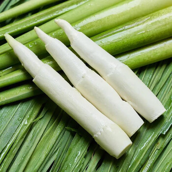 新鲜茭白13斤5斤农家自种现摘茭白时令鲜嫩高笋水笋500g