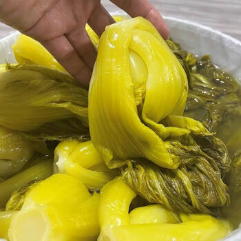 舌尖>四川老坛酸菜正宗鱼酸菜农家泡青菜腌菜大袋整箱批发 1袋x200克