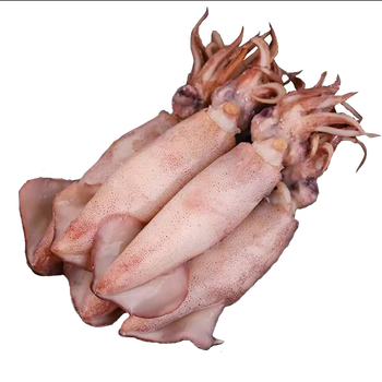 全籽籽乌冷冻生鲜大笔管鱼海鲜水产满籽海兔1盒净重约900g毛重1000g