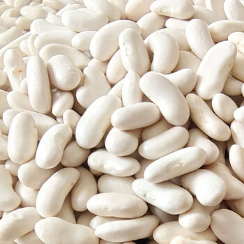 新豆 云南小白豆小白芸豆 四季豆农家自种煲汤煮粥五谷杂粮 白腰豆(五