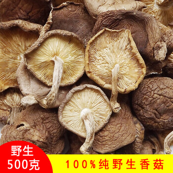 纯野生香菇干货500g云南野生干蘑菇特级小香菇冬菇花菇菌菇一斤